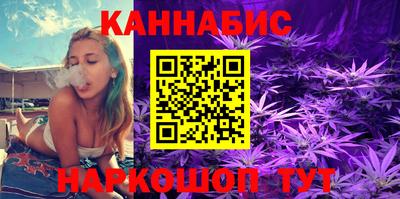шишки Шебекино