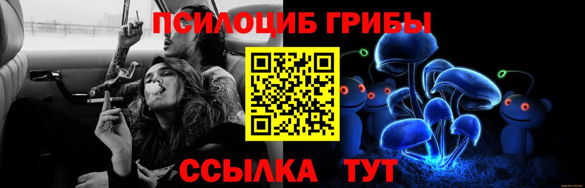 Псилоцибиновые грибы прущие грибы  Вход с VPN  закладки  Коммунар 